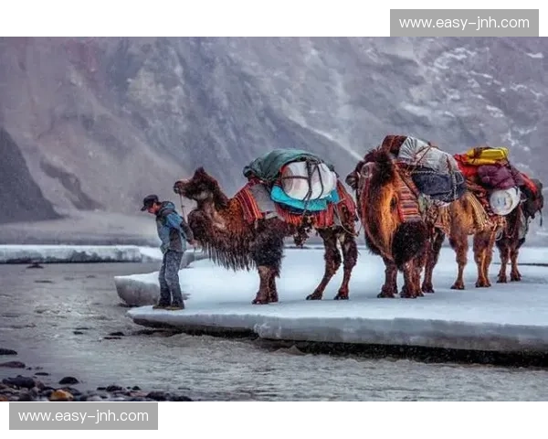 巅峰对决：当喜马拉雅遇见帕米尔——尼泊尔vs塔吉克斯坦的足球史诗